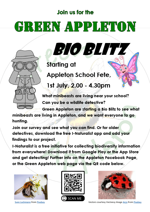 bioblitz poster