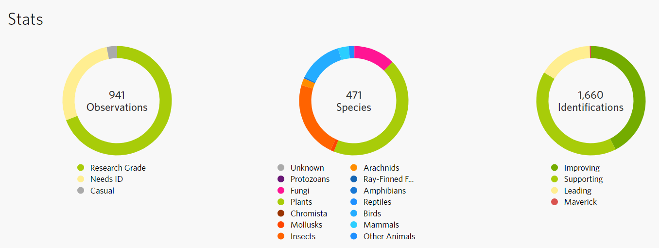 group statistics