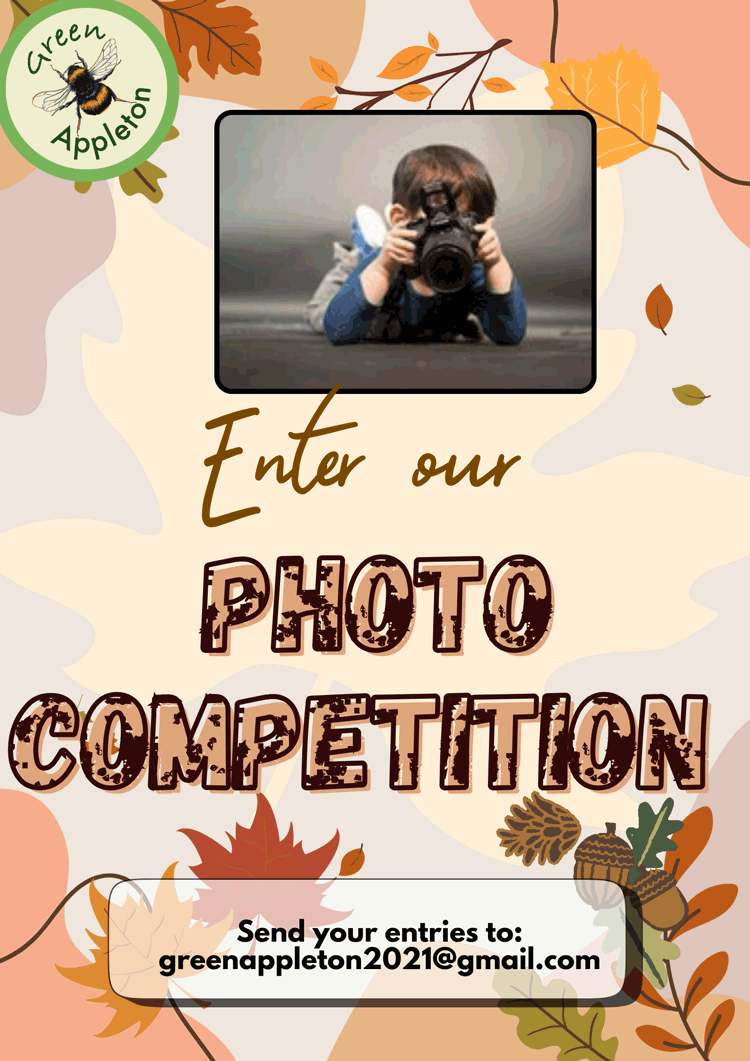 photo competition 1