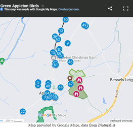 link to bird map