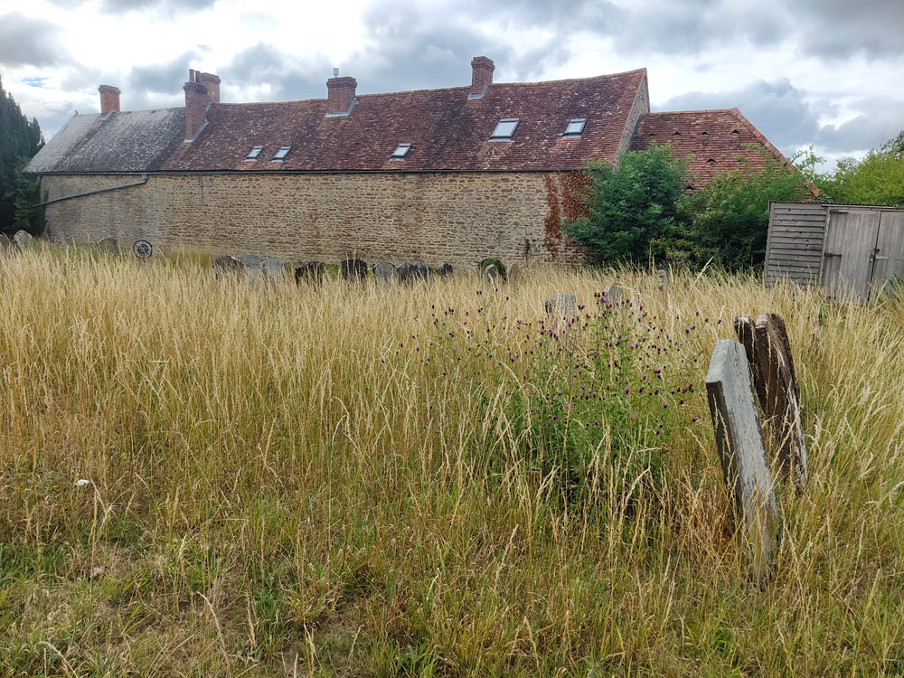 churchyard long grass