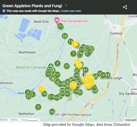 link to plant map