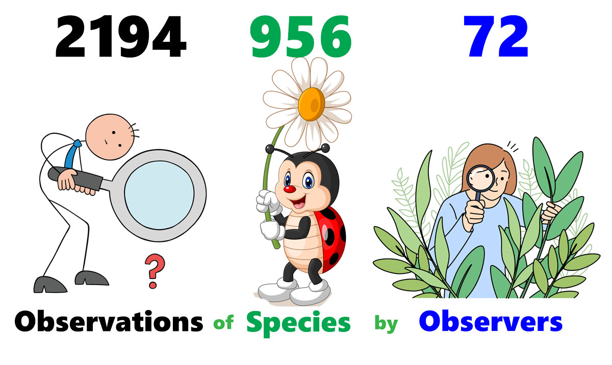 2914 observations of 956 species by 72 observers
